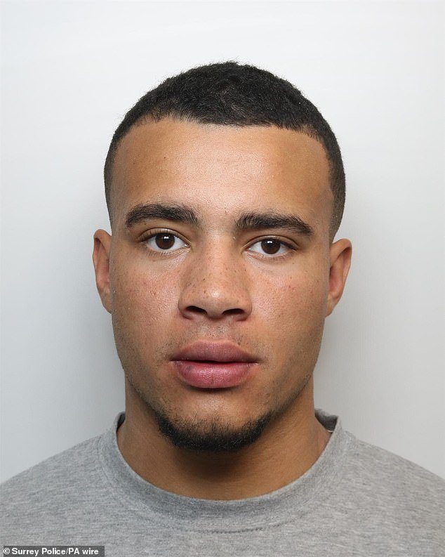 El famoso influencer HSTikkyTokky, de 24 años, se salvó de la cárcel después de estrellar un superdeportivo McLaren de £ 230.000 y huir del país.