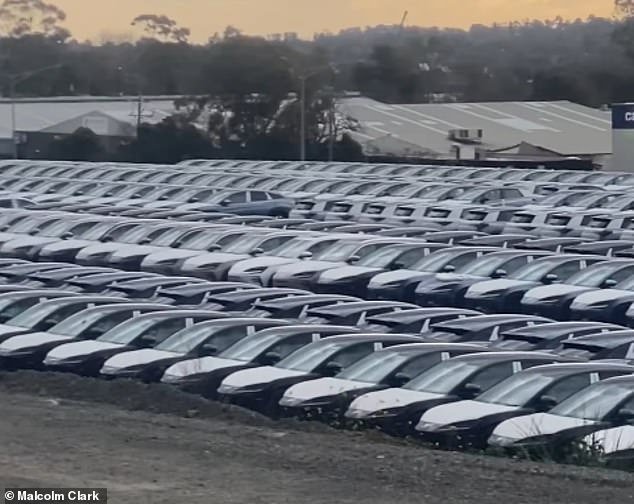 La verdadera razón por la que los vehículos eléctricos chinos no vendidos se están acumulando en los aparcamientos y el fallo que esto revela en la política del gobierno albanés.