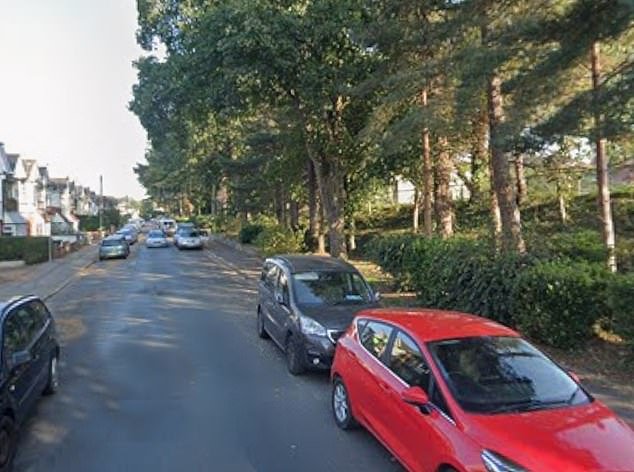 Un migrante egipcio de 24 años ha sido acusado de violar a una mujer de 30 años en Bournemouth Woodland.