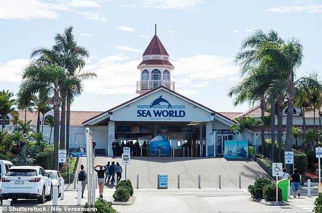 Advertencia de salud de emergencia para millones después del brote del concierto Jelly Roll, hospitales y SeaWorld
