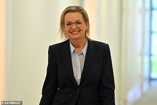 Los liberales abandonan el objetivo de cero emisiones netas porque Anthony Albanese no lo cumple: ‘espectáculo de payasos’