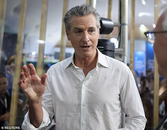 Gavin Newsom obligado a revocar miles de licencias de conducir a inmigrantes ilegales después de ser «sorprendidos con las manos en la masa»