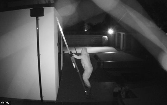 ‘No saben a qué se enfrentan’: Dentro de la ‘sofisticada’ operación de bandas criminales extranjeras que tienen como objetivo a los futbolistas, mientras nuestros expertos revelan signos preocupantes de que los delincuentes realmente están ganando confianza y tácticas para mantener su hogar seguro