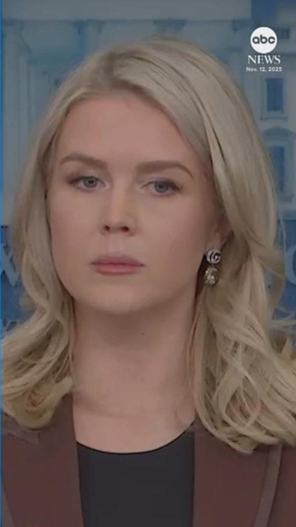 Vide WH Presione Sec. Leavitt: los correos electrónicos de Epstein demuestran que Trump ‘no hizo nada malo’