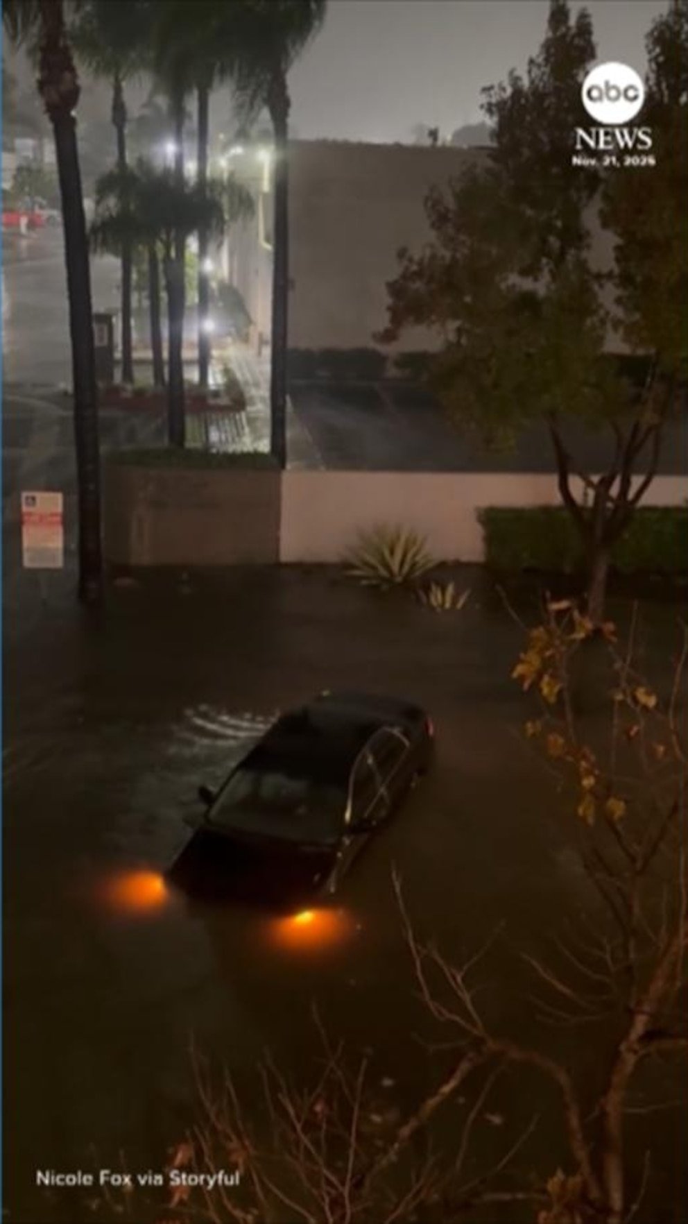 MIRAR: Compañeros de cuarto ayudan a rescatar a un veterinario de Vietnam atrapado en las inundaciones de California