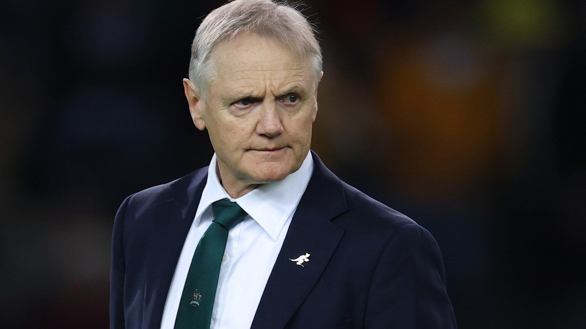 Wallabies vs Irlanda, el legado de Joe Schmidt en Australia, análisis exclusivo, comentarios, derrota de Italia