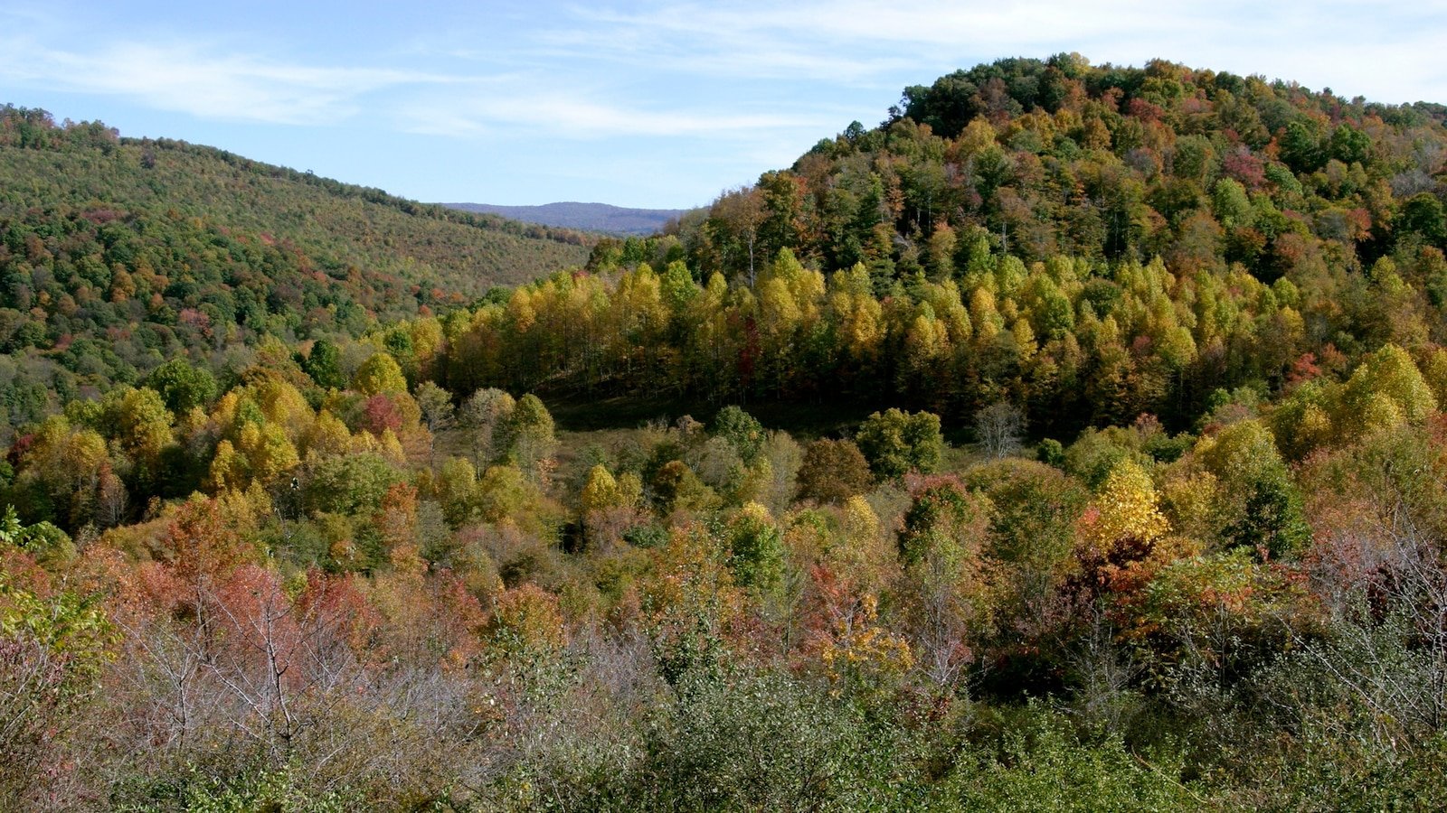 Gobernador dice que minero de carbón desaparecido en Virginia Occidental está muerto