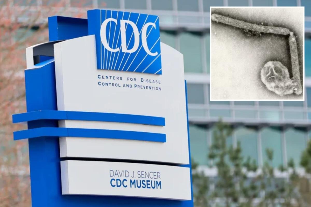 Un residente del estado de Washington murió a causa de la primera cepa rara de gripe aviar, H5N5