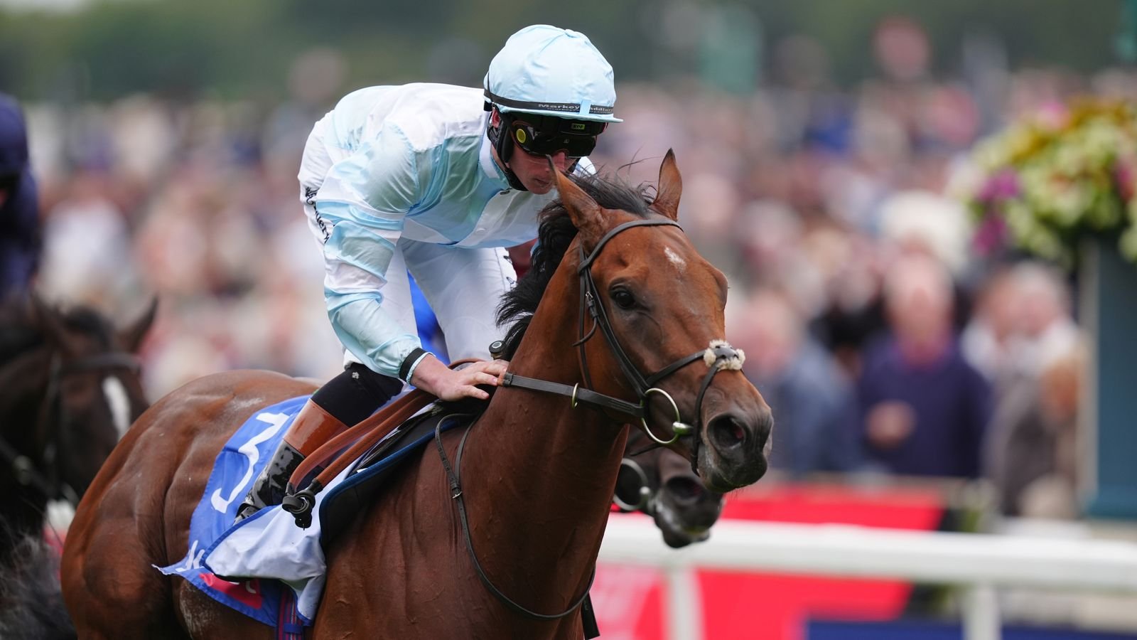 Hoy en Sky Sports Racing: Pride of Aras y Royal Champions toman la gloria en Bahrein | noticias de carreras