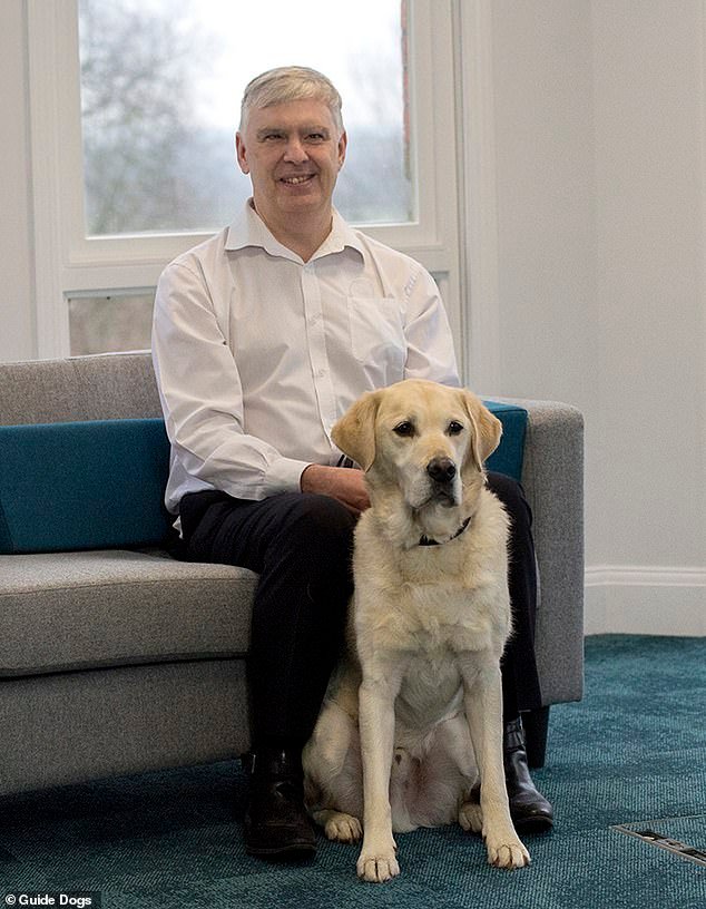 Escasez de perros guía en Gran Bretaña: las personas ciegas esperan ‘hasta dos años’ por un perro de servicio debido al aumento de los costos de entrenamiento y al impacto de Covid en la fertilidad