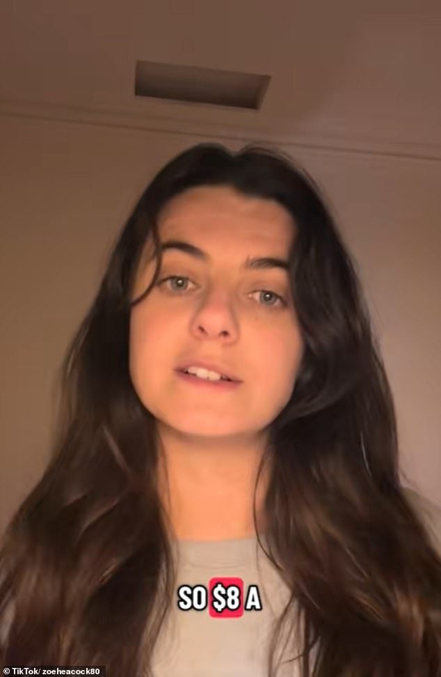 105009745-15410485-Zoe_Heacock_pictured_shared_her_day_to_day_living_budget_of_just-a-20_1766627570522.jpg