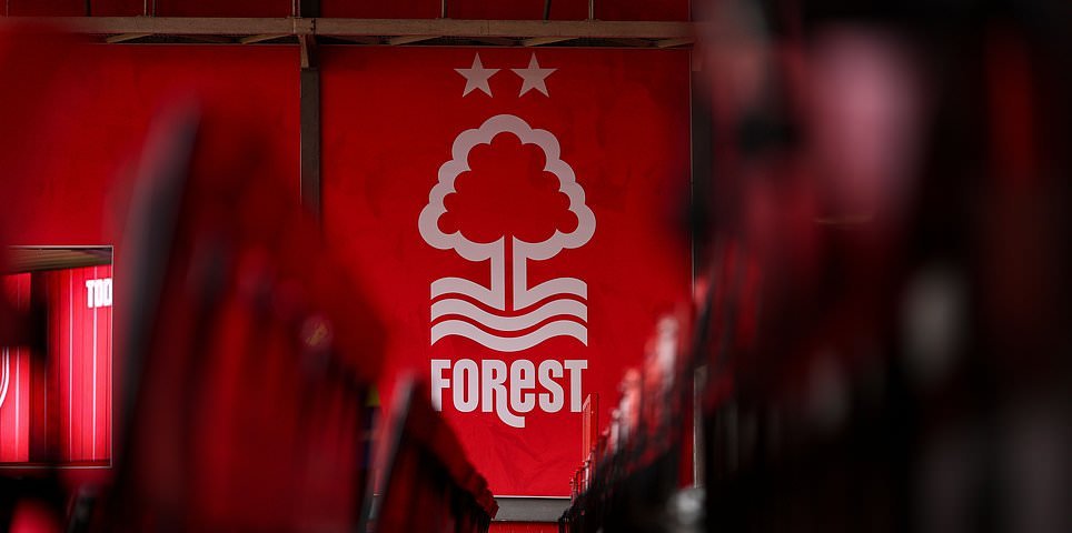 Nottingham Forest vs Manchester City – Premier League en vivo: últimos resultados, noticias del equipo y actualizaciones mientras el equipo de Pep Guardiola apunta a superar a su rival Arsenal a la cima de la tabla con Rodriy nombrado en el banco después de un revés por lesión