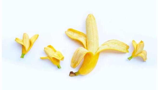 1765308210_63efbd6e60851-ilustrasi-pisang-sebagai-penis_665_374.jpeg