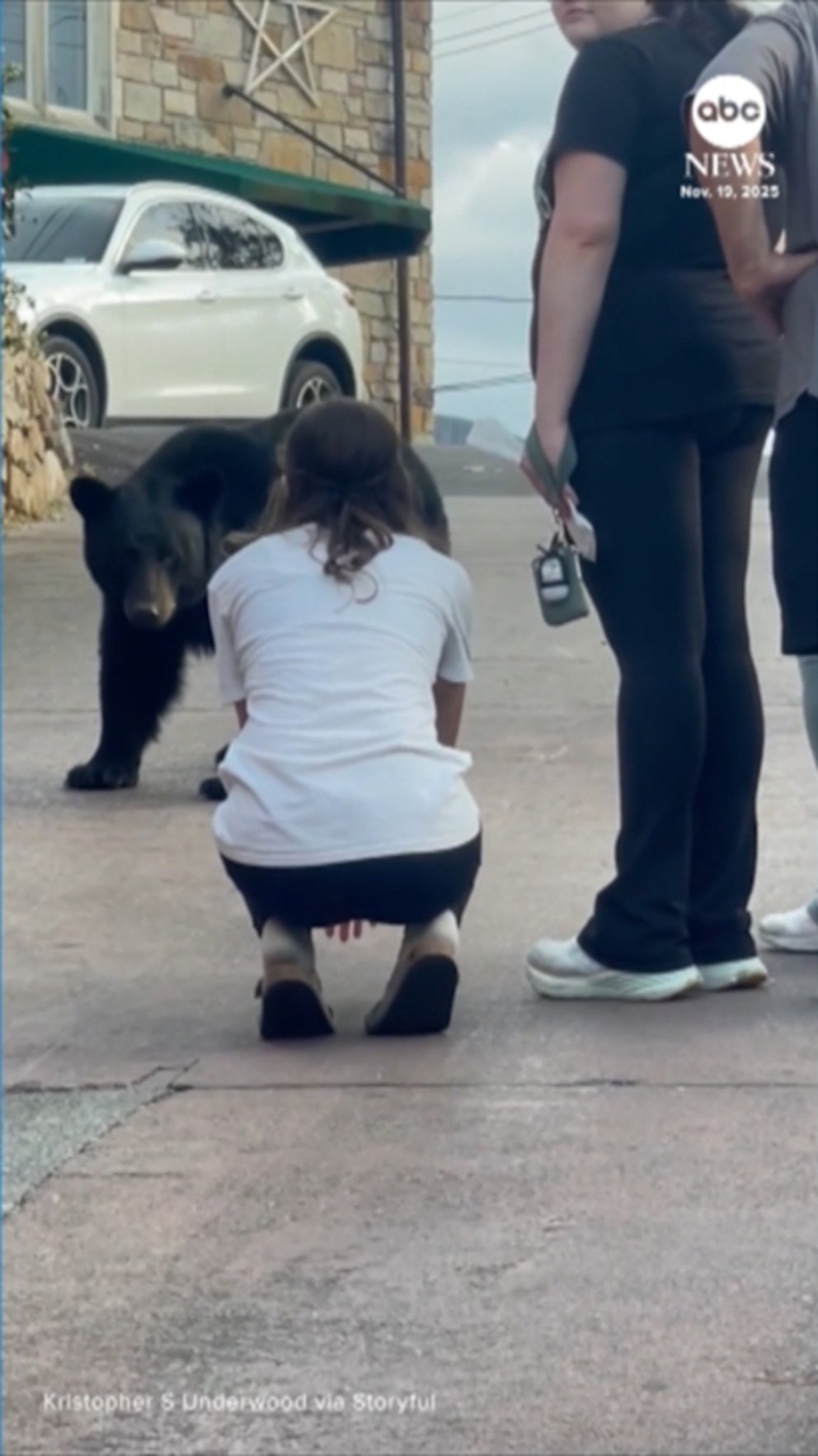 MIRAR: Una mujer intenta acariciar y alimentar a un oso en Tennessee