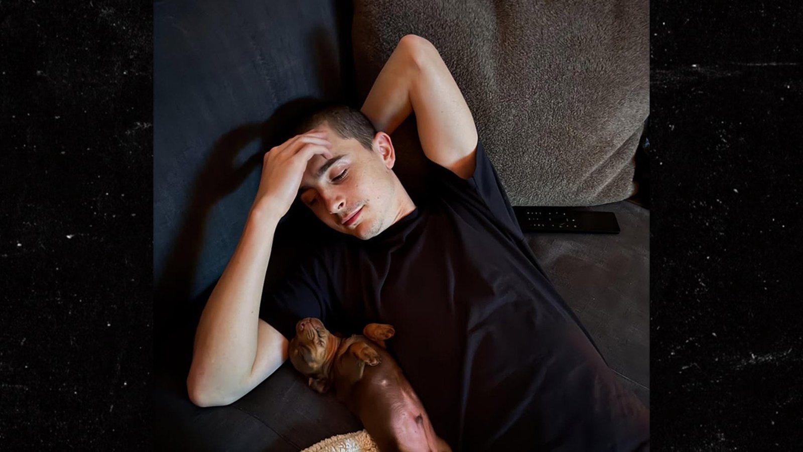 El amor de Timothee Chalamet tiene un cachorro