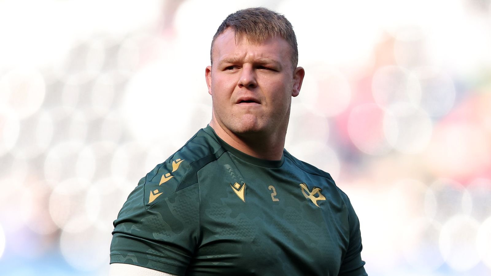 Escarlata 19 – 26 águilas pescadoras