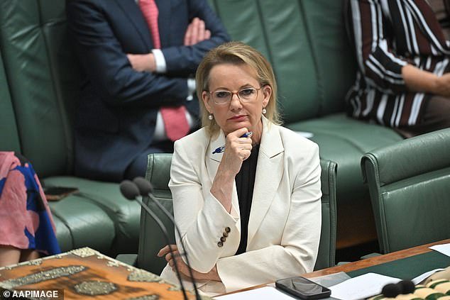 Lo que dicen los liberales sobre el futuro de Sussan Ley a medida que aumenta la presión sobre su liderazgo tras el colapso de la coalición