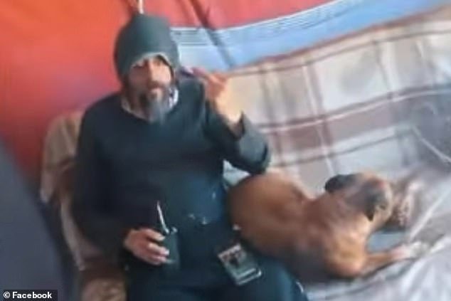 Extraños avistamientos de un perro conduciendo en la playa: se confisca la licencia del propietario