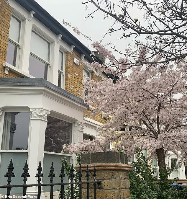 Con Londres nombrado uno de los principales destinos del mundo, el equipo de viajes del Daily Mail revela las visitas obligadas, las gemas escondidas y las mejores cosas para hacer en la capital del Reino Unido.