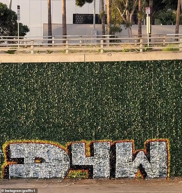 La decisión de instalar hiedra ‘a prueba de graffiti’ en una autopista de Los Ángeles fue un error desastroso