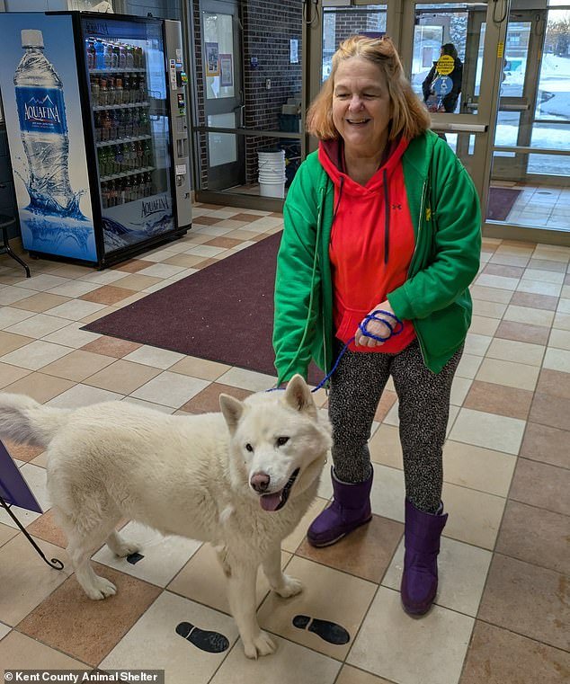 Una mujer angustiada por la desaparición de un perro recibe una llamada sorpresa de un refugio de animales a más de 50 millas de distancia un año después
