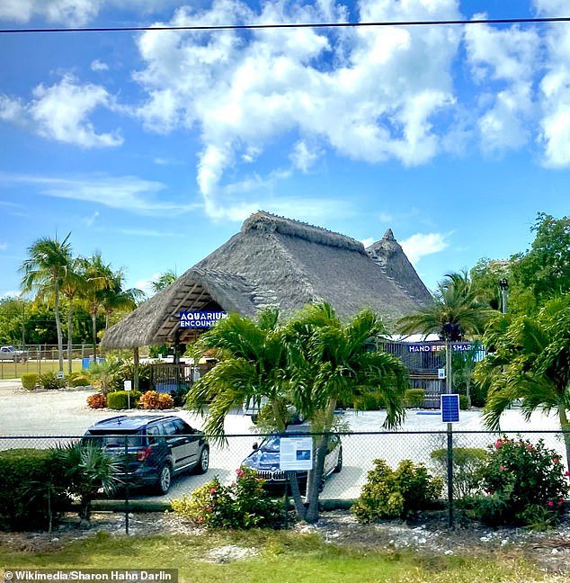 Dos hombres arrestados por matar un sábalo después de irrumpir en un acuario de Florida para pescar
