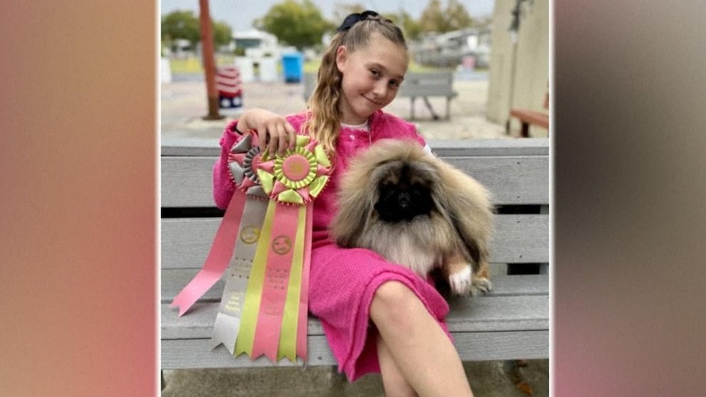 MIRAR: Niña de 12 años compite por el mejor espectáculo con su perro