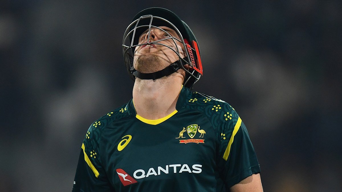 Calentamiento para la Copa del Mundo T20 Comentado por Adam Zamba