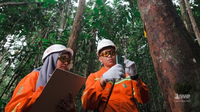 Demostrando su compromiso medioambiental, Veda Bay Nickel restaurará 4,2 mil hectáreas de cuencas hidrográficas en el norte de Molucas