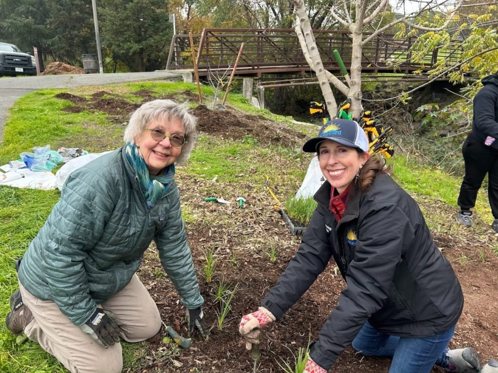 Restaurando el ecosistema de Contra Costa, una planta nativa a la vez