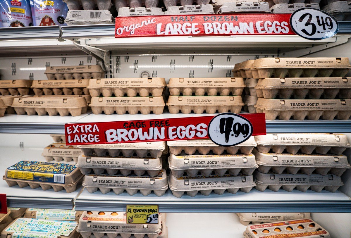 Texas recibirá 2 millones de óvulos gratis