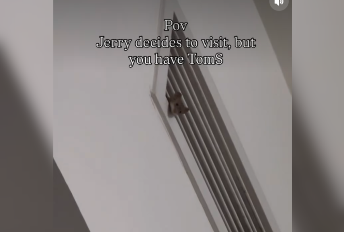 El ratón visita la casa de la mujer, lo que le espera