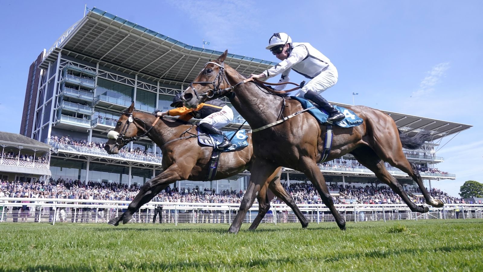 Hoy en Sky Sports Racing: Marshman y Diligent Harry se enfrentan nuevamente en Cachie Stakes | noticias de carreras