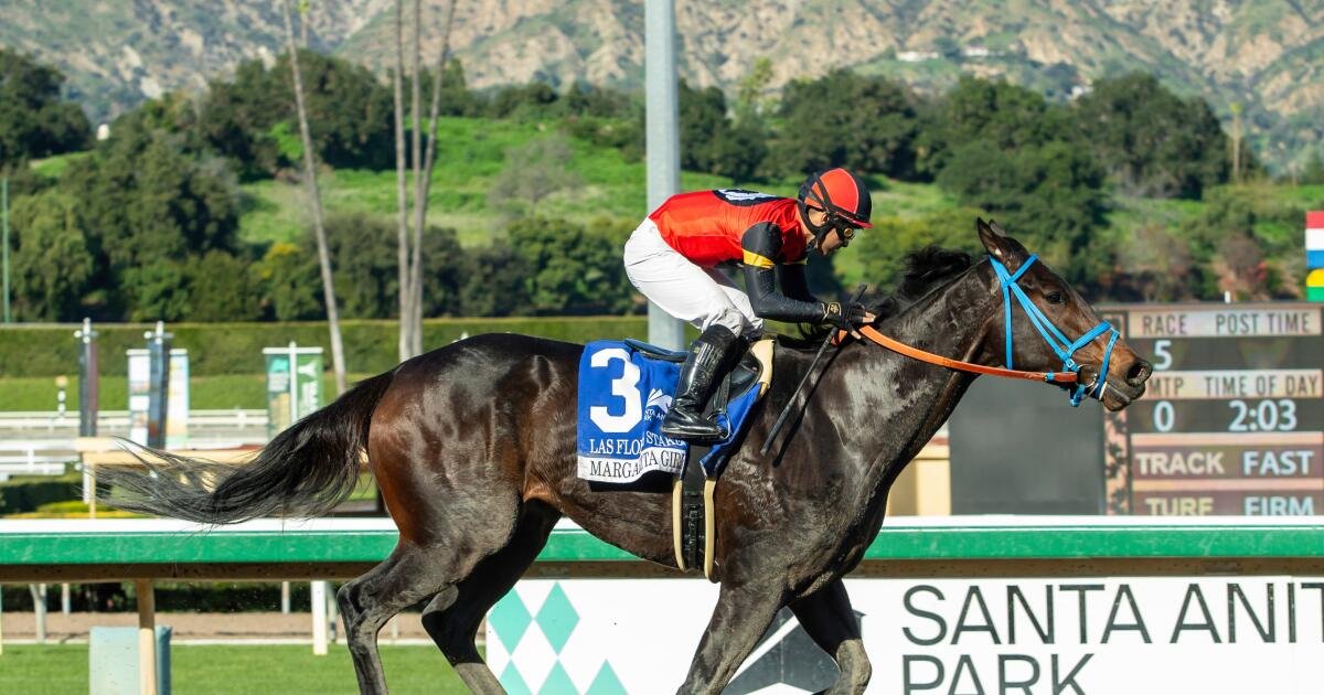 Santa Anita ciertamente agrega terminales tipo tragamonedas