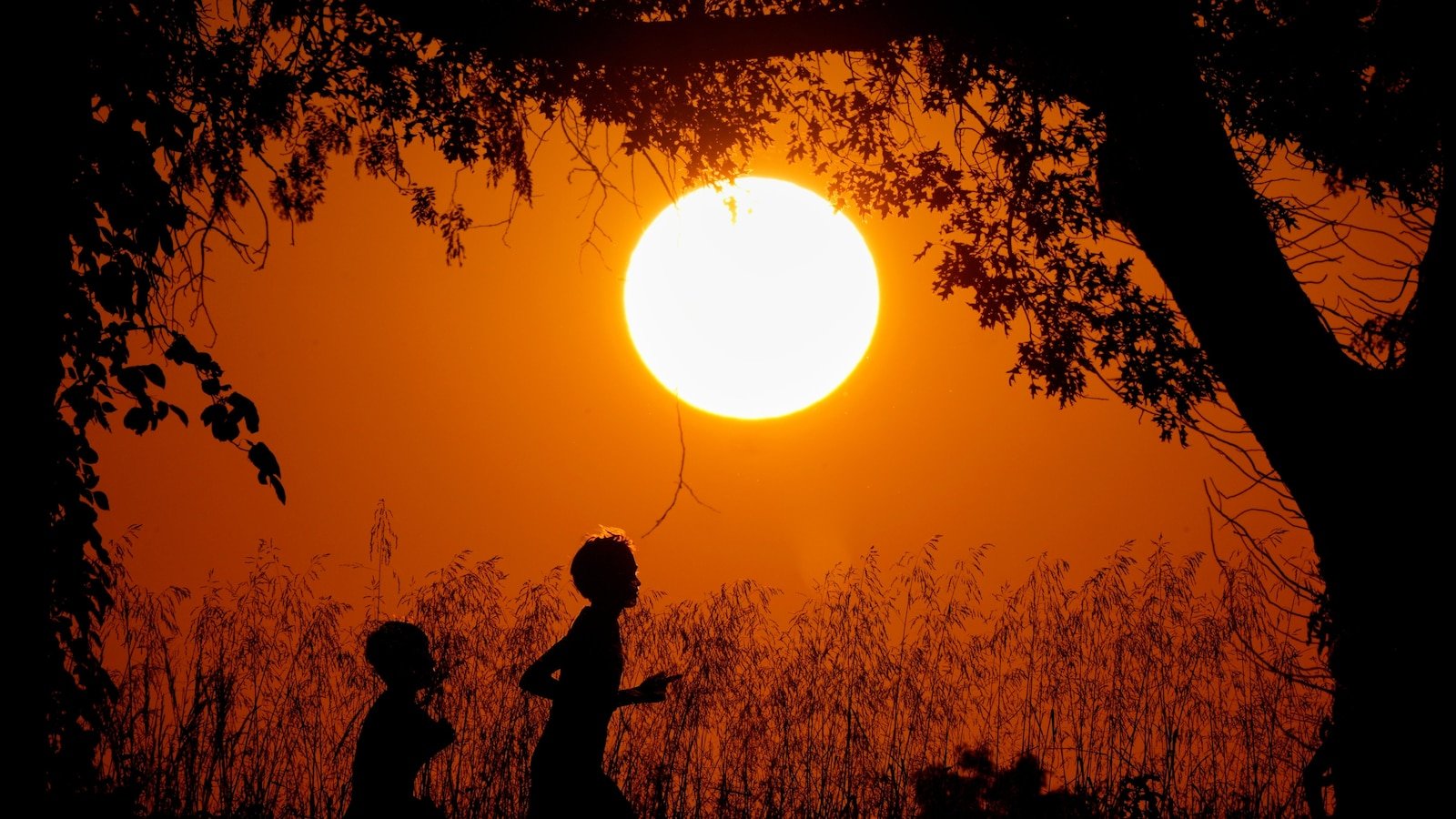 La esperanza de vida en EE.UU. alcanzará un máximo histórico en 2024, según los CDC