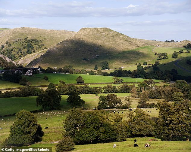 Un adolescente fue trasladado de urgencia al hospital tras desaparecer mientras caminaba y fue encontrado a 20 metros de profundidad en un hermoso paraje.