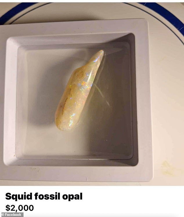 Trisha Graff: la madre australiana de seis hijos que desapareció sin dejar rastro en el remoto interior hace dos meses es un misterio con gemas desconcertantes