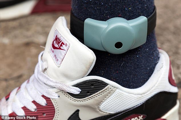 Los parlamentarios han criticado duramente al Servicio de Libertad Condicional porque está aumentando el número de delincuentes que cometen delitos graves después de salir de prisión.