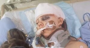 Un tirador en una escuela canadiense que mató a 8 personas le disparó a una niña transgénero de 12 años.