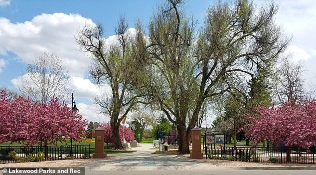 El bonito suburbio de Denver se convierte en un infierno infestado de vagabundos… Los legisladores desestiman las preocupaciones de los residentes diciendo que «la falta de vivienda es un problema complejo».