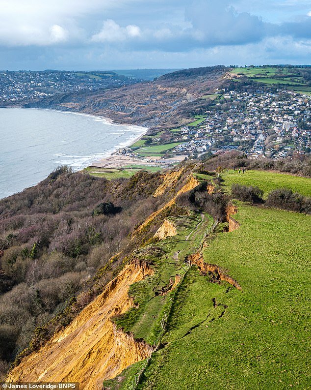 Un deslizamiento de tierra masivo cierra parte del sendero de la costa suroeste: miles de toneladas de rocas caen en la playa de Dorset semanas después de que apareciera una grieta de 300 pies de largo en la cima del acantilado