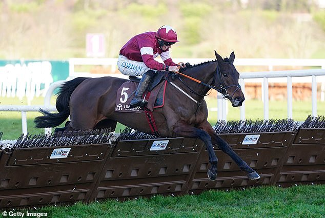 Callum McClurkin: El Champion Hurdle de este año trata sobre lo que la mayoría de los apostadores de caballos creen