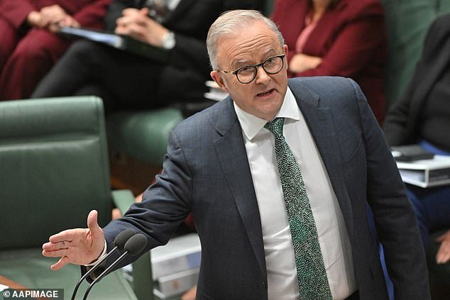 Anthony Albanese ha emitido una siniestra advertencia a las novias de ISIS que intentan regresar a Australia