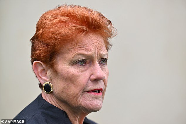 Pauline Hanson redobla su impactante comentario de que «no es una buena musulmana» que conmocionó a Australia: «Odian a los occidentales»