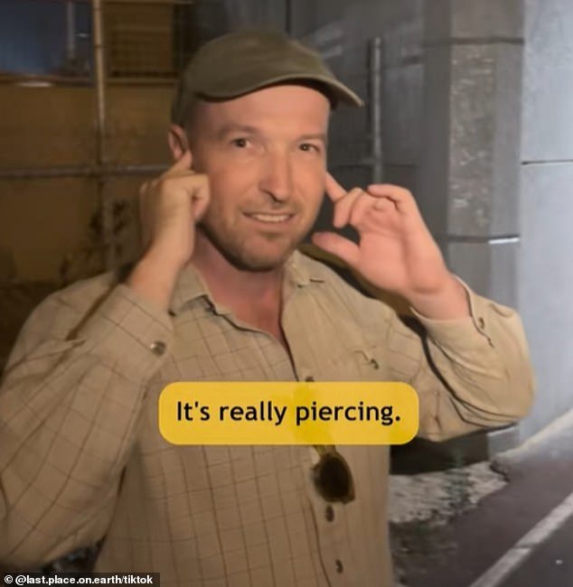 Los australianos están indignados por el dispositivo que emite un ruido molesto en el puente de Perth y por el motivo «repugnante» para instalarlo