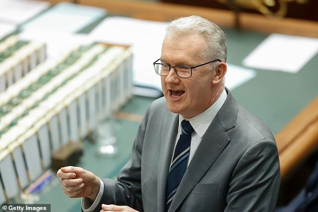 A la novia de ISIS se le prohíbe regresar a Australia: intento bloqueado por el gobierno albanés