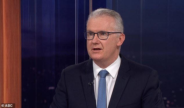 Las novias de ISIS tienen pasaportes australianos: Tony Burke admite una bomba cuando surgen detalles sobre la ayuda de un ‘representante’ laborista a Siria