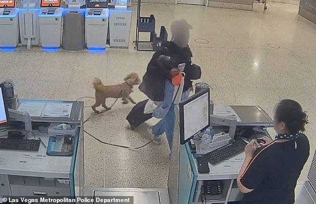 Mujer desalmada arrestada por abandonar a su cachorro en el mostrador de boletos del aeropuerto de Las Vegas porque no podía llevarlo en el avión