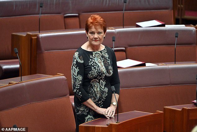 Por qué Pauline Hanson podría tener grandes problemas con la policía: ‘Están intentando volver a meterme en la cárcel’