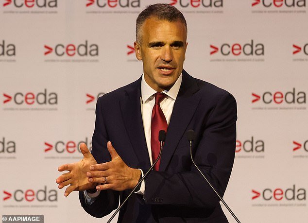 Mientras el comentario de ‘límpiate el trasero’ del primer ministro de Australia del Sur, Peter Malinoukas, divide a Australia, me equivoqué al burlarme del comentario sobre inmigración: Peter van Onselen